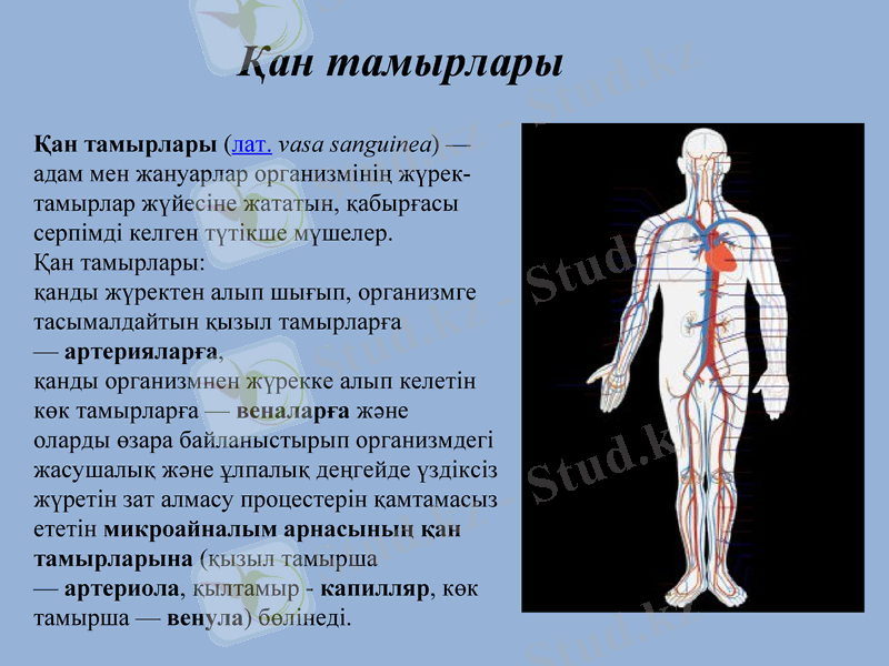 Slide 14