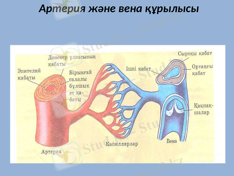 Slide 16