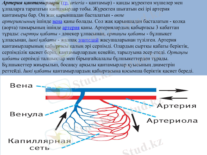 Slide 17