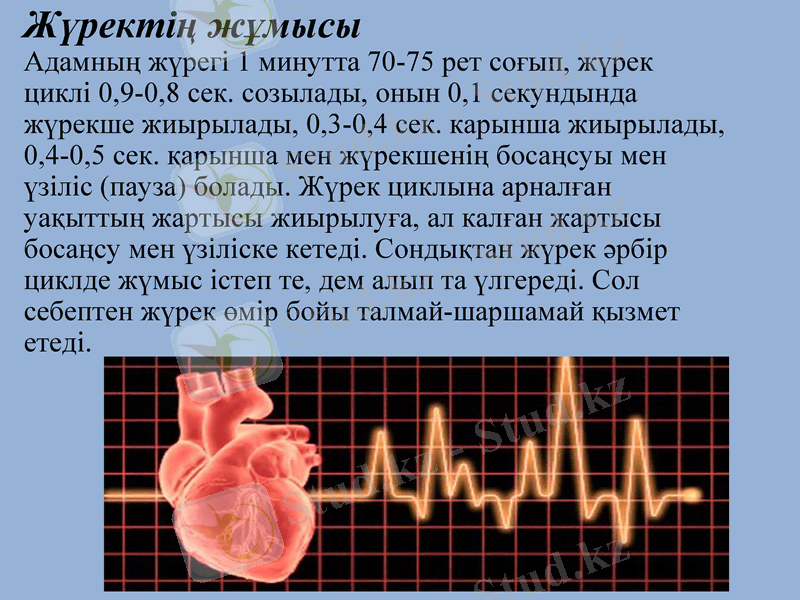 Slide 7