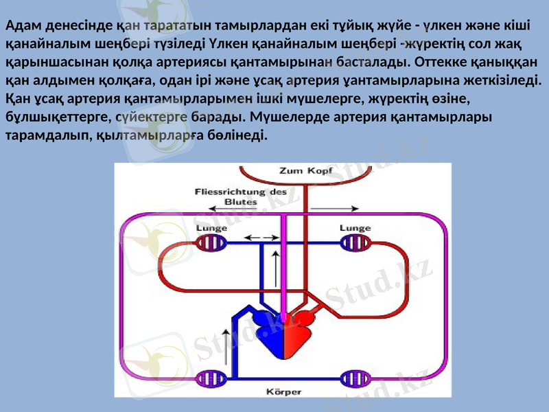 Slide 9