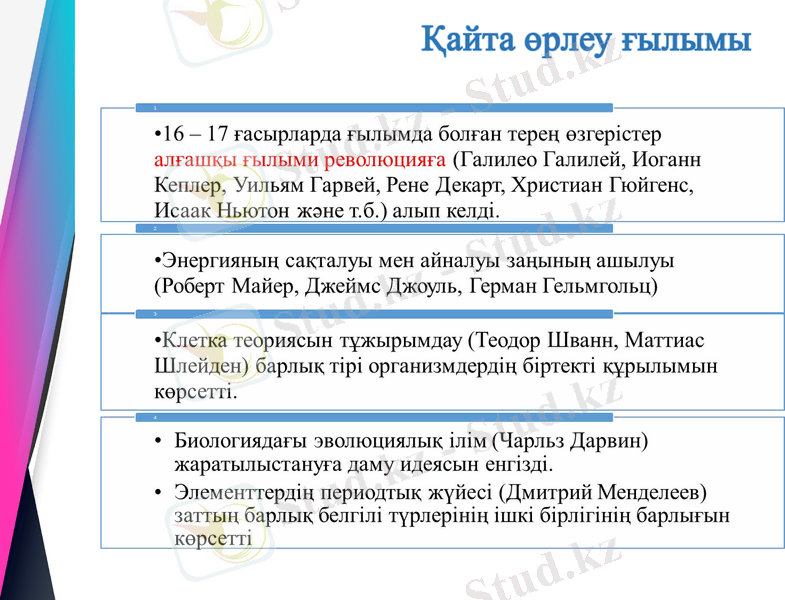 Slide 8