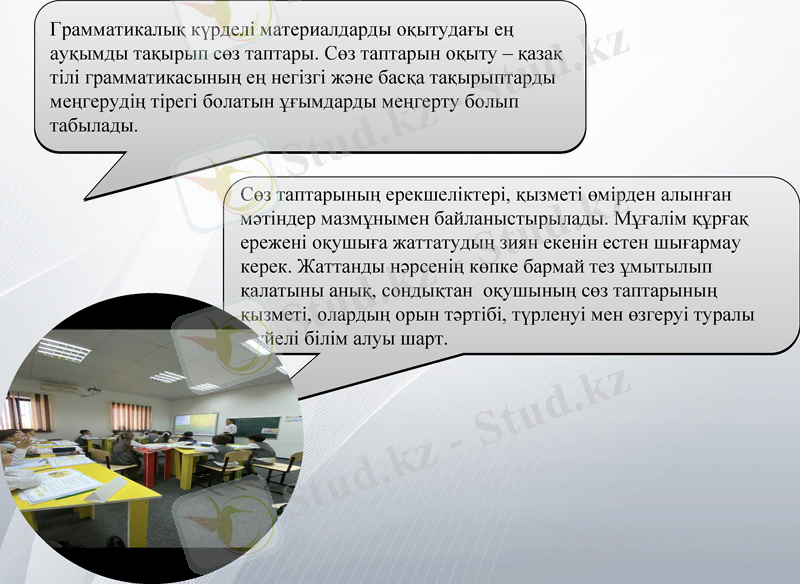 Slide 7