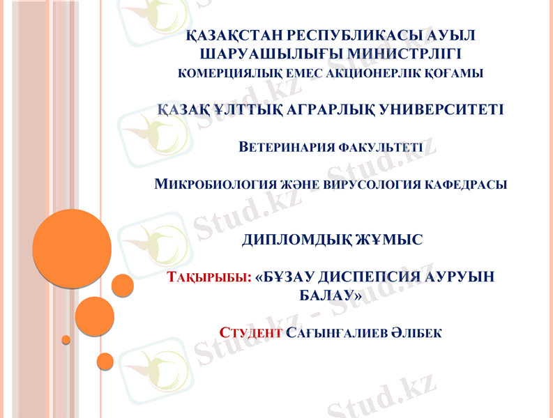 Slide 1