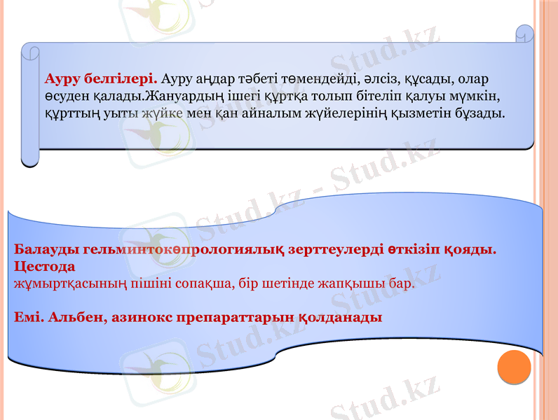 Slide 10
