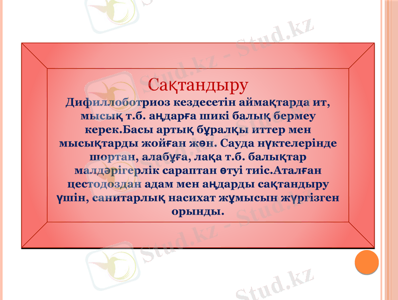 Slide 12
