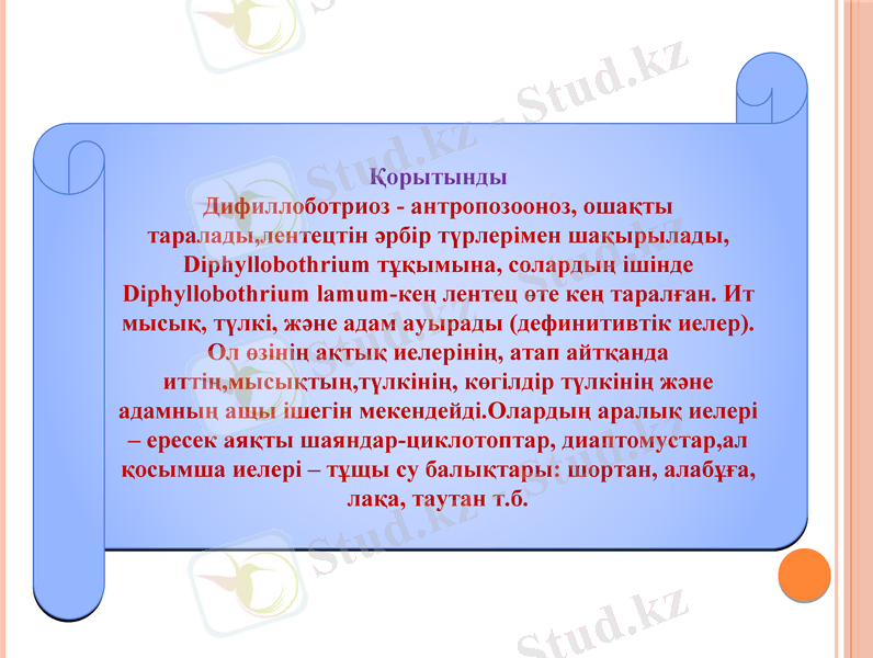 Slide 13
