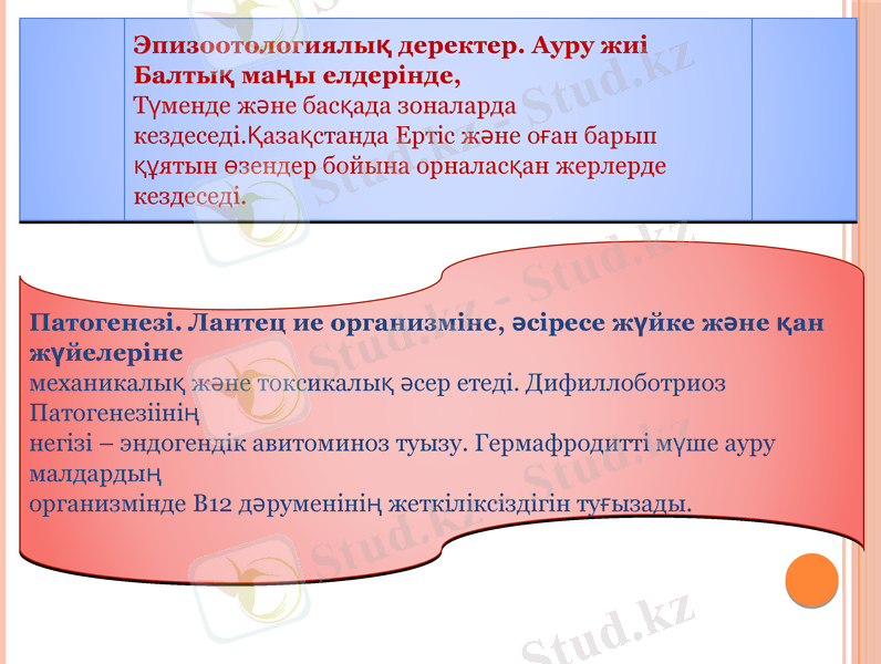 Slide 9