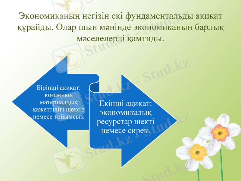 Slide 10