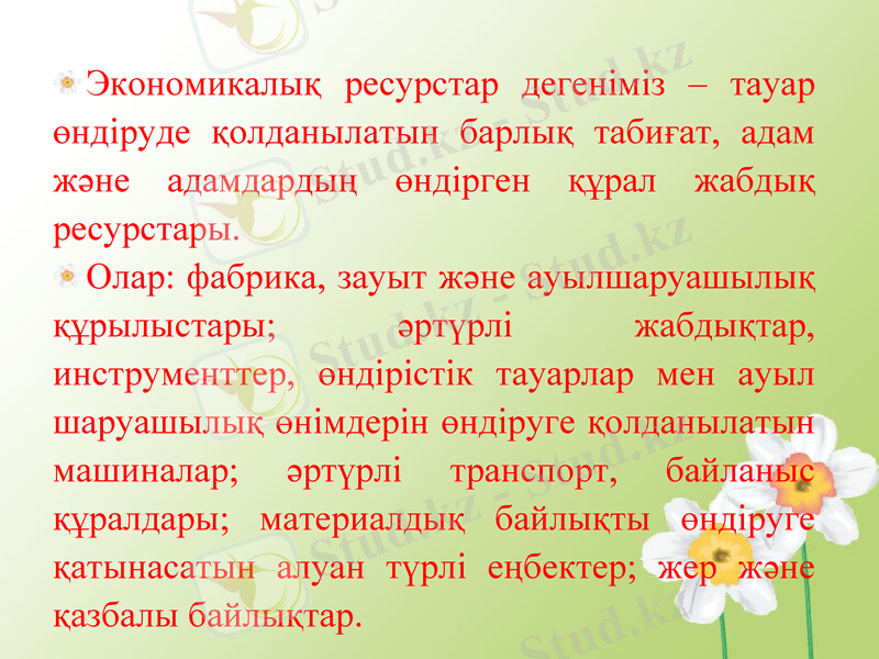 Slide 11
