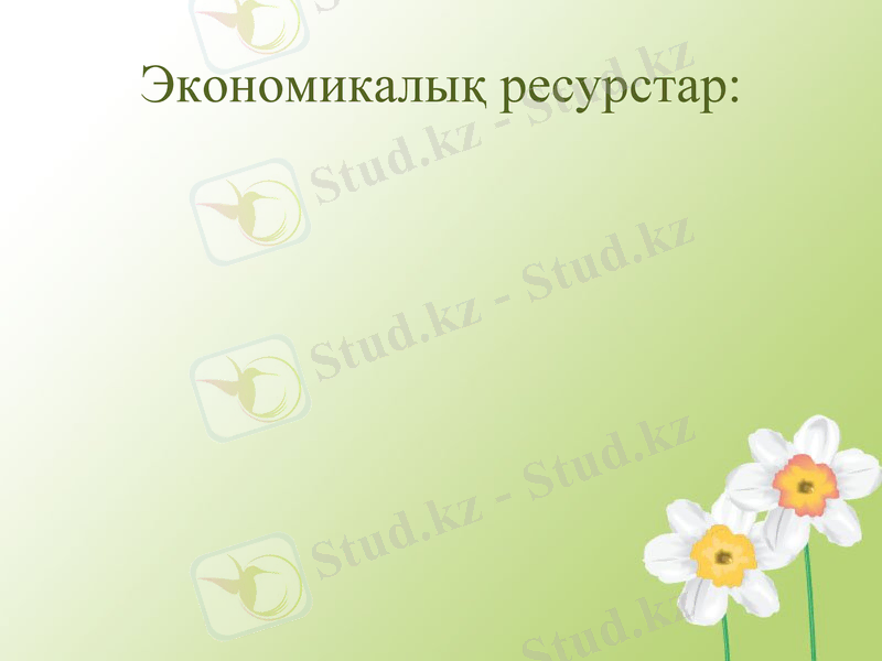 Slide 12