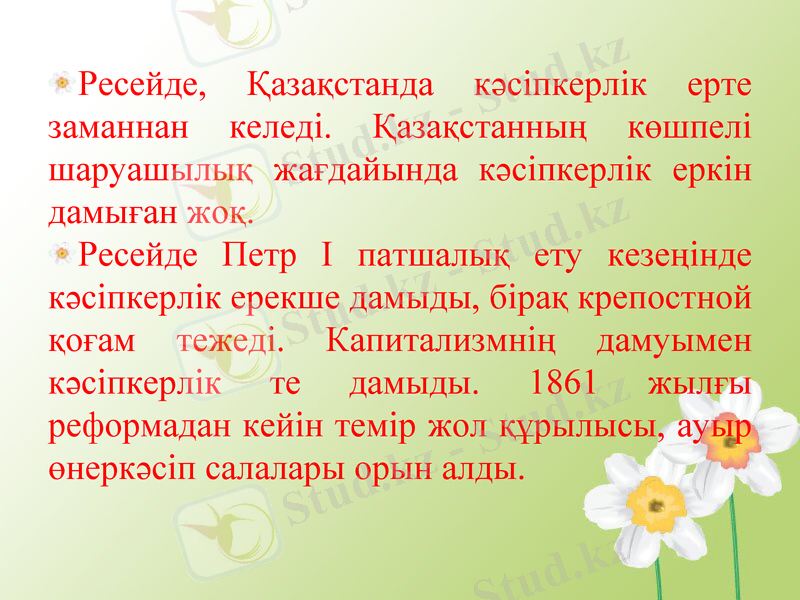 Slide 7