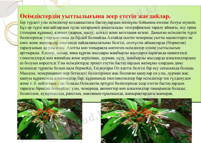 Slide 10
