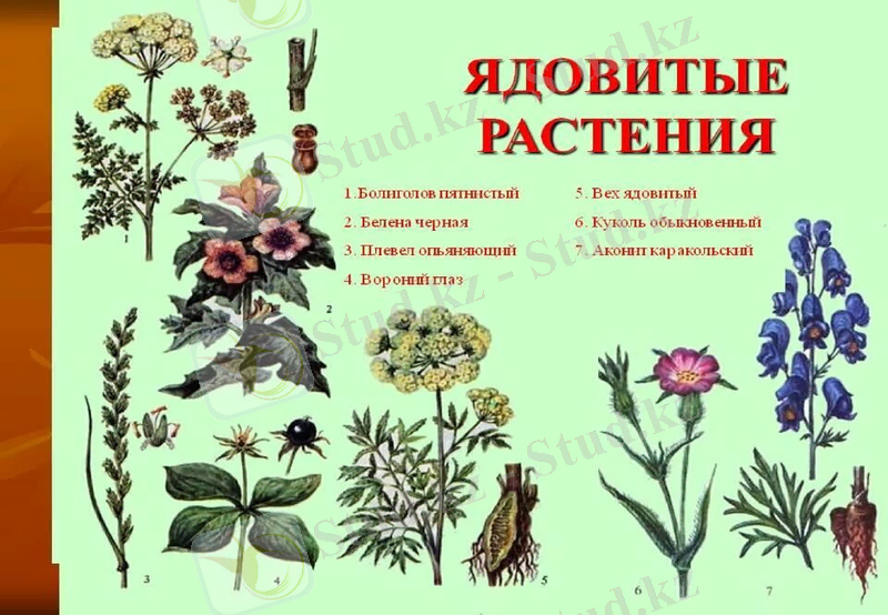 Slide 12
