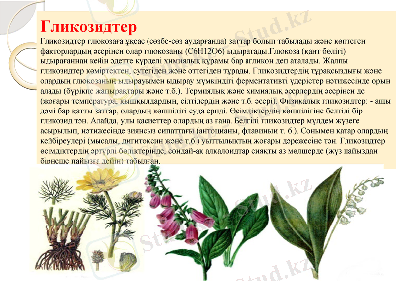 Slide 15