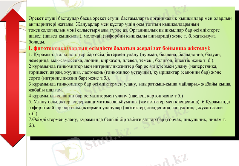 Slide 17