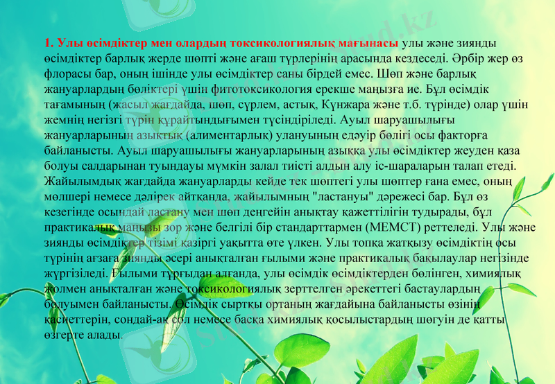 Slide 7