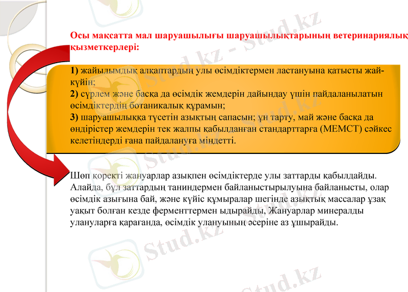 Slide 8