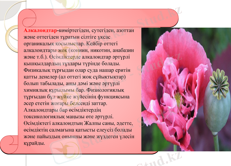 Slide 9