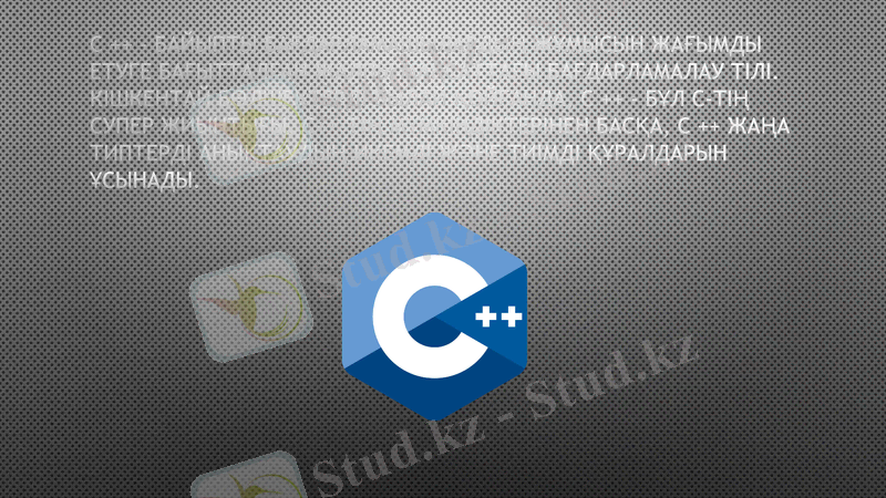 Slide 11