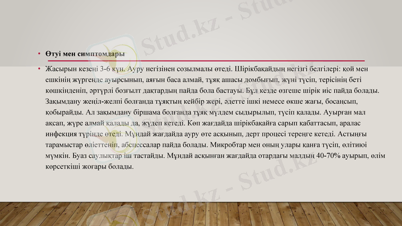 Slide 6