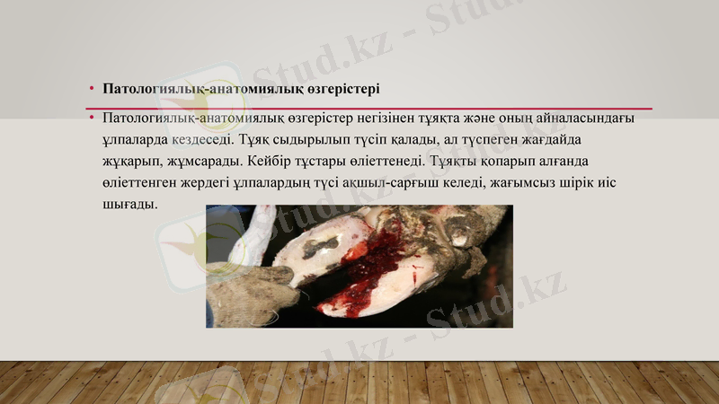 Slide 7