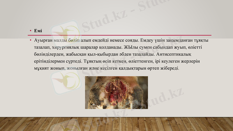 Slide 8