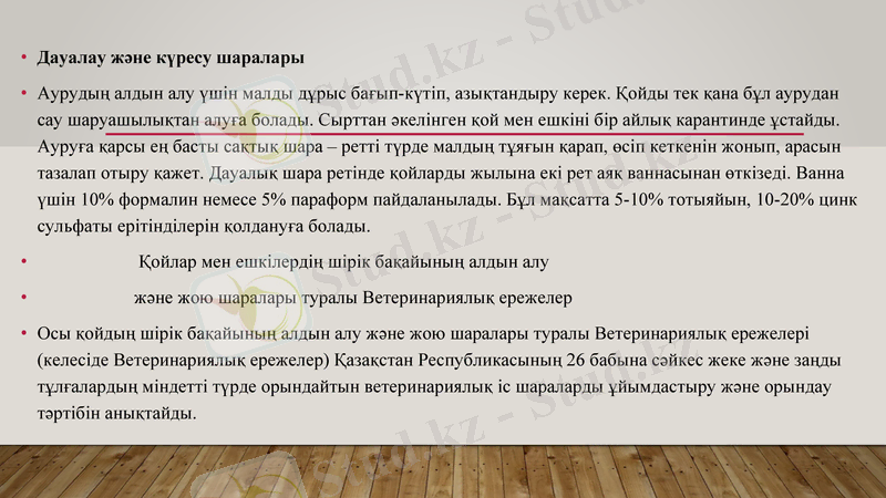 Slide 9