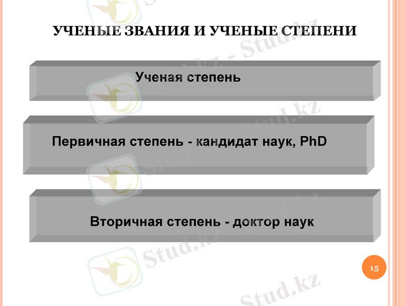 Slide 15