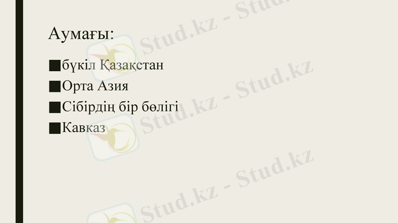 Slide 9