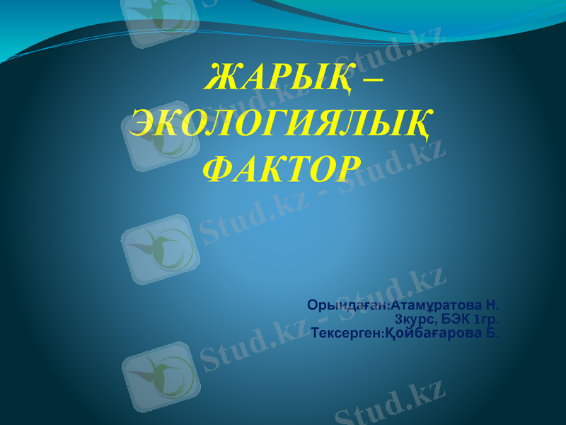 Slide 1