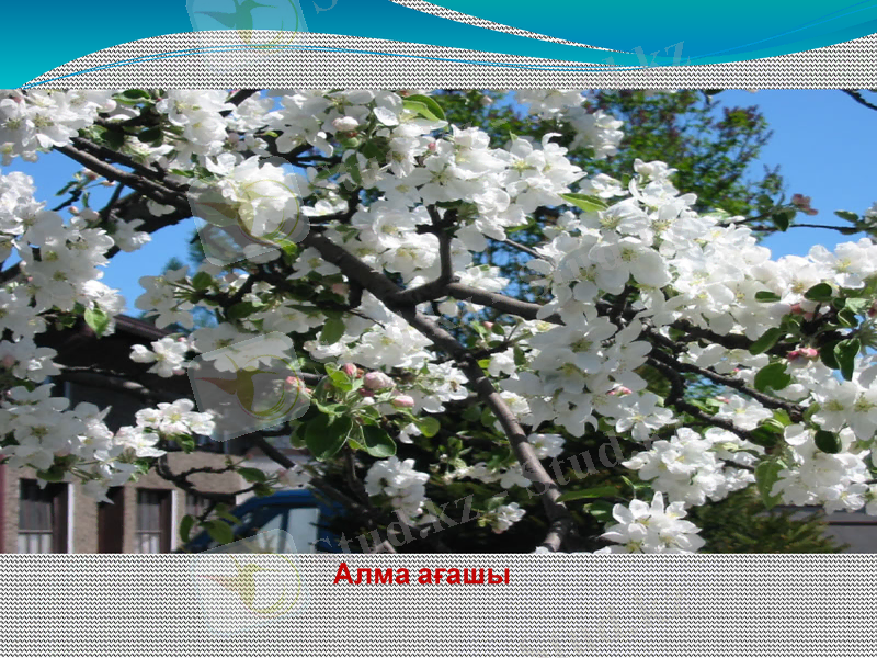 Slide 12