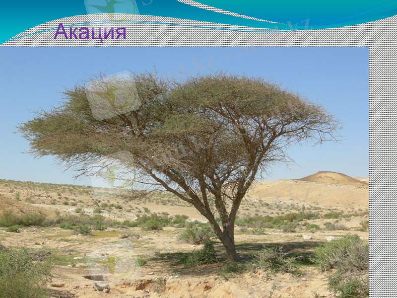 Slide 13