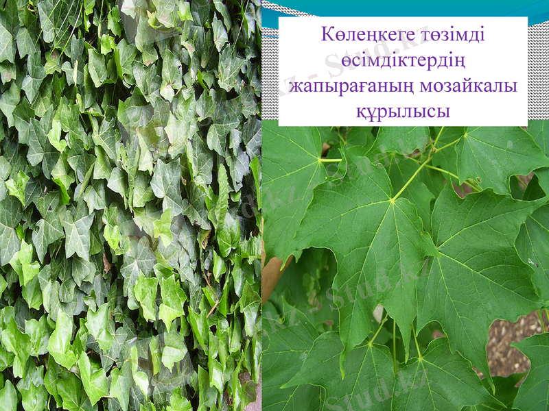 Slide 14