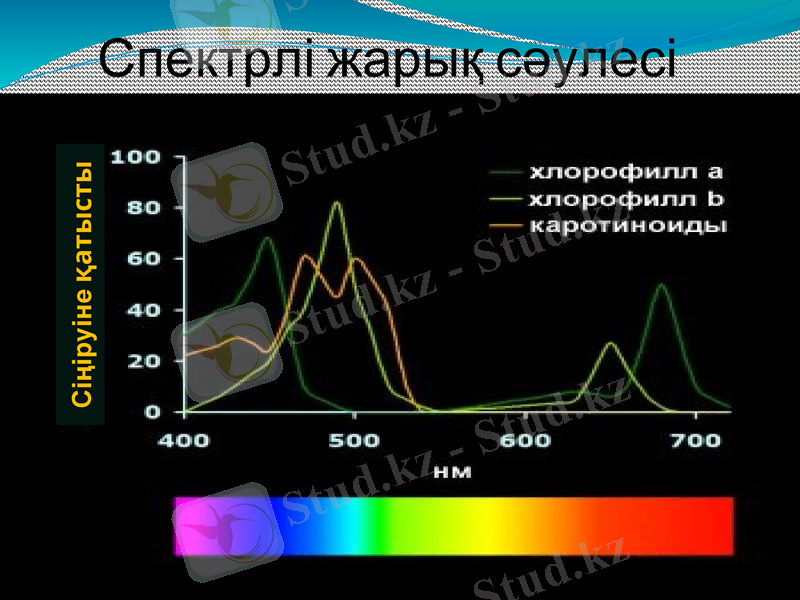 Slide 15