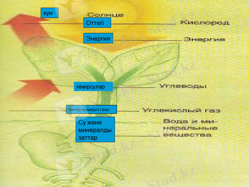 Slide 16