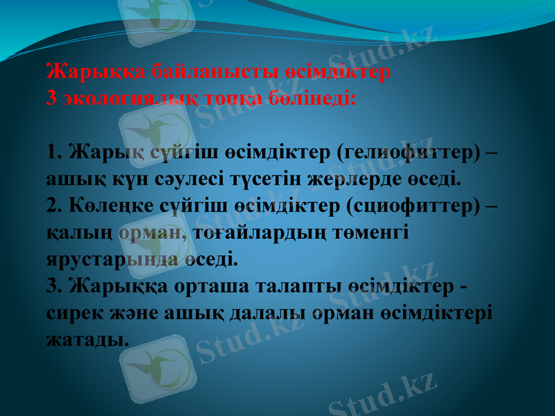 Slide 6