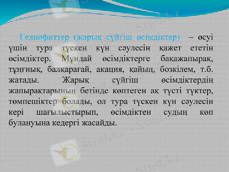 Slide 7