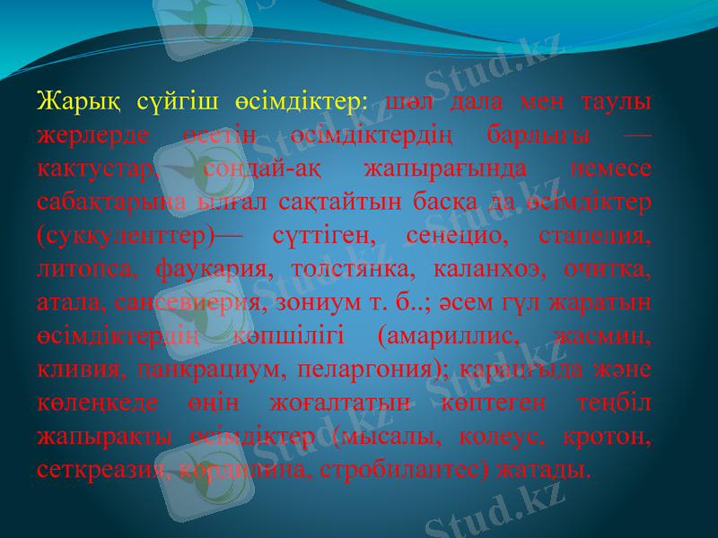 Slide 8