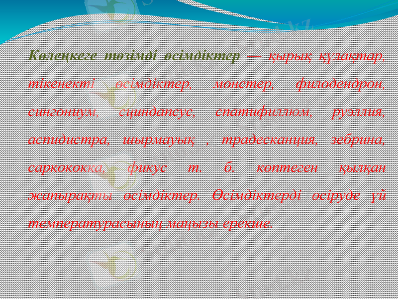 Slide 9
