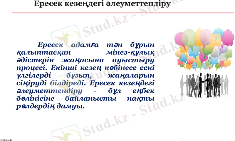 Slide 12