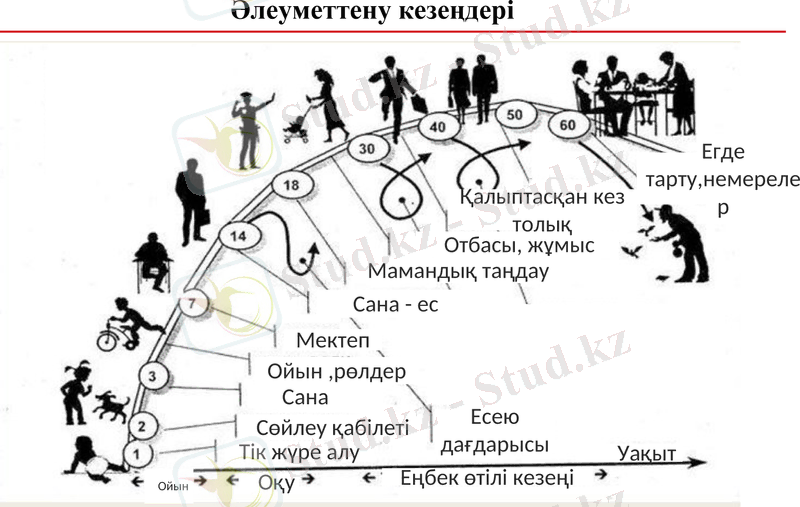 Slide 8