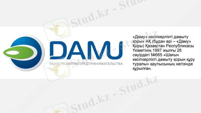 Slide 5