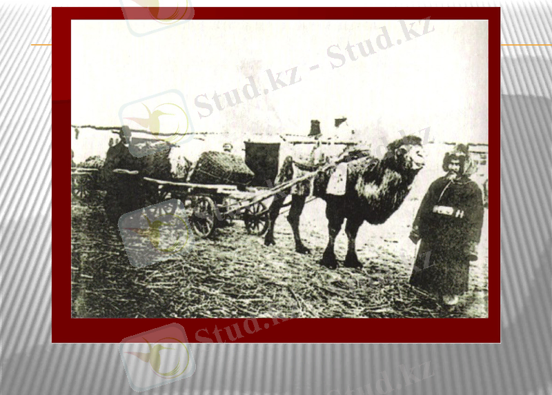 Slide 10