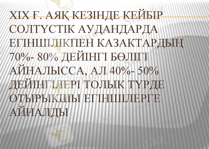 Slide 11