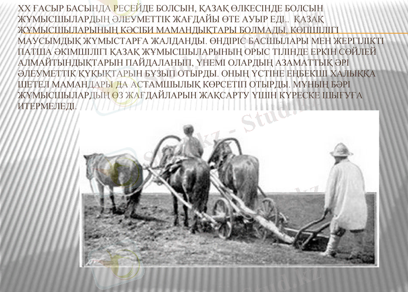 Slide 7
