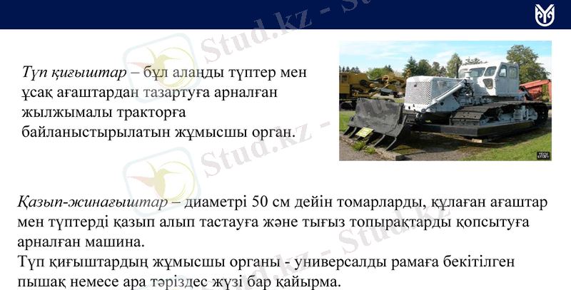 Slide 7