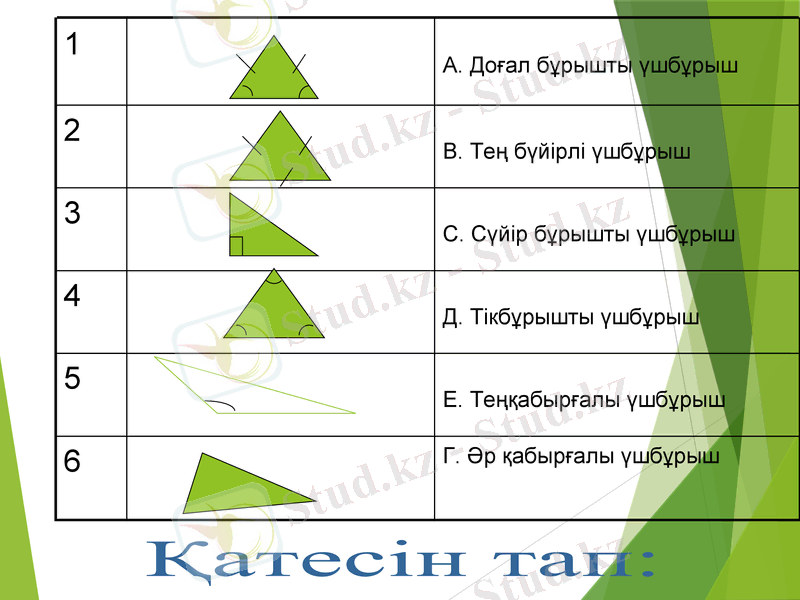 Slide 5