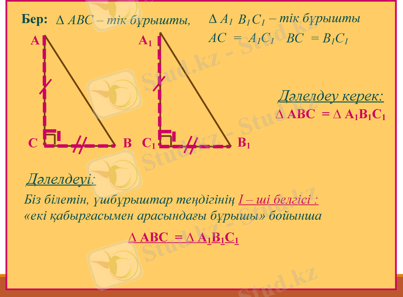 Slide 8