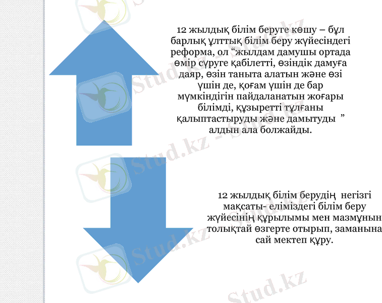 Slide 6